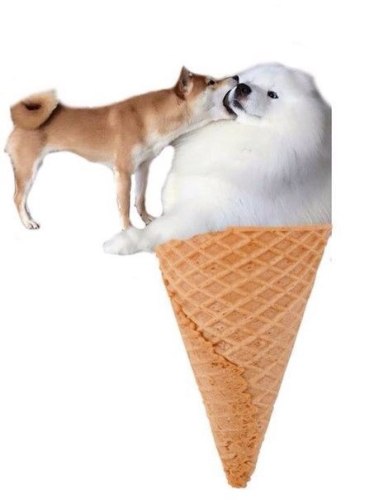 собака вкусная мороженное